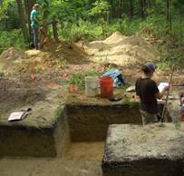 Excavators in Unit